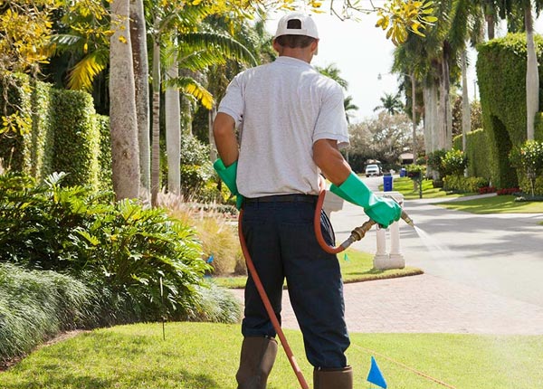 About Happy TX Pest Control